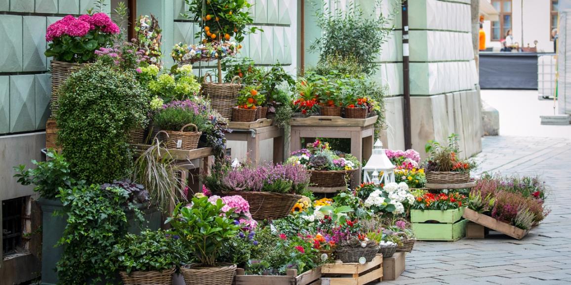 Skills You Need To Start Flower Shop in New South Wales